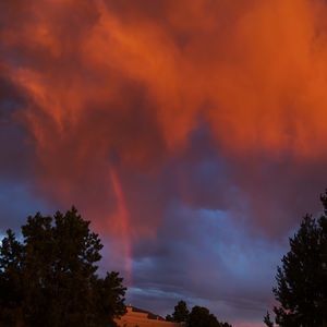 Meet your Posher, Ava